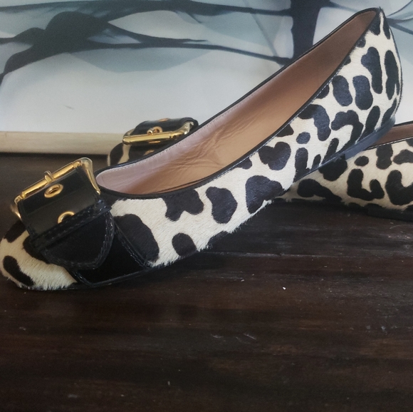 GUC Giuseppe flats - Picture 4 of 10